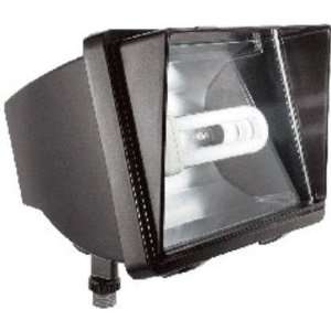  RAB Lighting FF42QT HID Floods