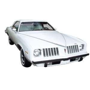    1973 1974 Pontiac Grand Am Decal and Stripe Kit: Automotive