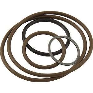  Peterson 09 0486 O RING KIT: Automotive