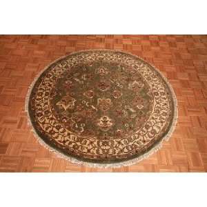  6x6 Hand Knotted Agra India Rug   60x60: Home & Kitchen