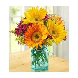 Mothers Day Flowers by 1 800 Flowers Grocery & Gourmet Food