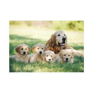   Retriever with Puppies Cardboard Jigsaw Puzzle (100 pc) Toys & Games