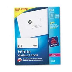   Technology LABEL,ADRS,2X4,10/SH (Pack of2): Office Products