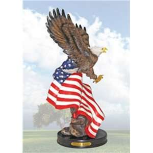  Star Spangled Banner Eagle with American Flag: Everything 