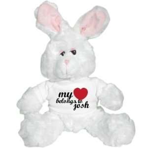  My Heart Belongs To Bunny: Custom Plush Bunny: Toys 