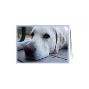  12 Step Recovery Encouragement, Labrador Retriever Card 