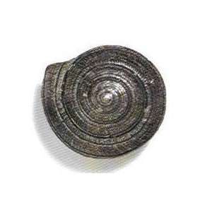   objects   scallops & seahorses mini sundial knob: Home Improvement