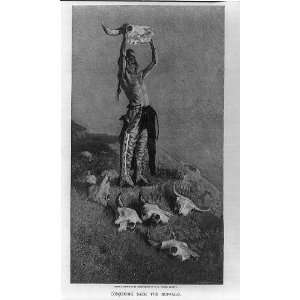  Illustration by Frederic Remington,Conjuring back buffalo 