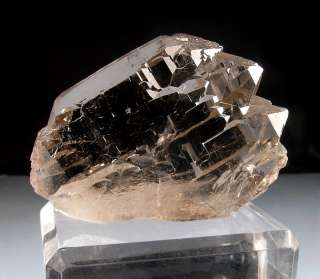   Smokey Quartz   Gletchhorn, Goscheneralp, Uri, Switzerland  