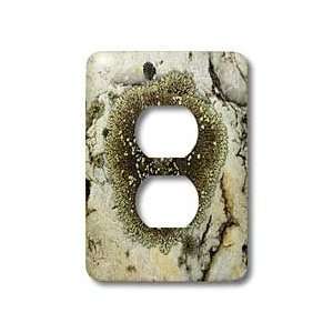VWPics Spanish Nature   Lichens covering a stone   Light Switch Covers 