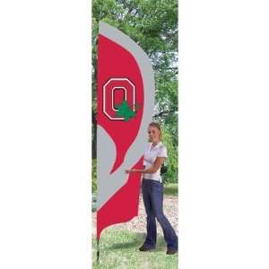  Ohio State Buckeyes Tall Team Flag From Party Animal 