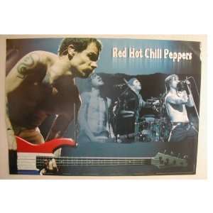 The Red Hot Chili Peppers Poster Amazing Shot of Flea:  