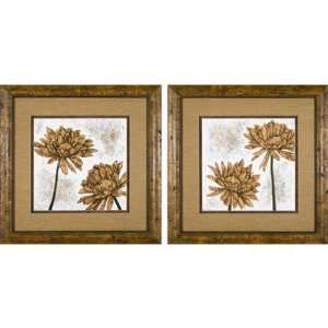  Phoenix Galleries White Washed Dahlia Series White Washed 