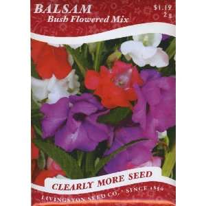  Balsam   Bush Flowered (Annual) Patio, Lawn & Garden