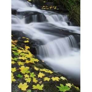   Highlands of Scotland, United Kingdom, Europe Travel Photographic