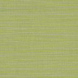 Sunbrella Dupione Peridot #8024 Indoor / Outdoor Upholstery Fabric