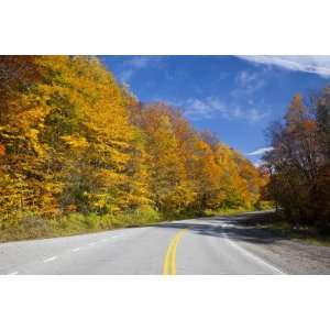 Monongahela National Forest at Route 250, Cheat Bridge, West Virginia 