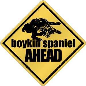  New  Boykin Spaniel Bites Ahead !  Crossing Dog: Kitchen 