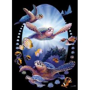  T shirts Aquatic Sea Life Turtle in Light 3xl 