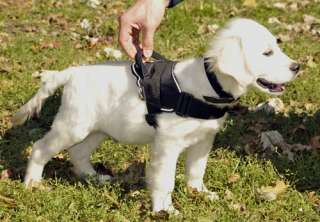 Dog Harness for Running Hiking Outdoor Activities  