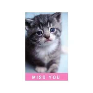  Postcards Absentee Miss You (Kitten) (Package of 25 