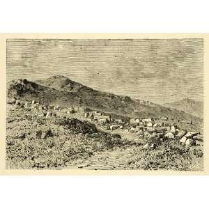  1890 Wood Engraving Delos Acropolis Mount Kynthos Greece 