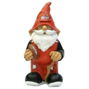    Louisville Cardinals Garden Gnome   8 Mini: Sports & Outdoors