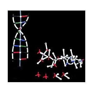  Kit, Individual DNA Structure Molecular Model, 30 Students 