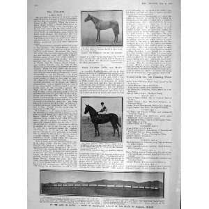  1907 TRAIN SILVER LEAD OAXACA MEXICO HORSES LADY TIBBIE 