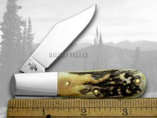 CASE XX Genuine Prime Stag Barlow Pocket Knife Knives  