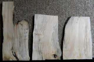 Lot of 3 Fiddleback Figured Spalted Ambrosia Maple Craftwood Slabs 