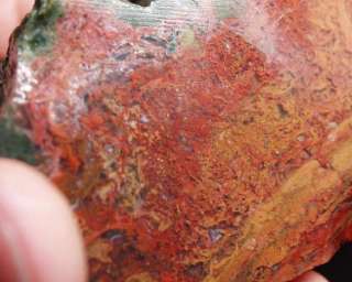 HS Maury Mountain Moss Agate Rough Red WoW  