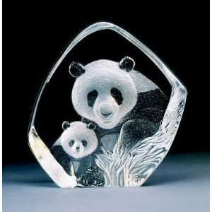  Panda Bear and Cub Etched Crystal Sculpture by Mats 