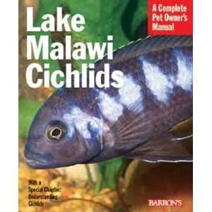  Top Quality Lake Malawi Cichlids