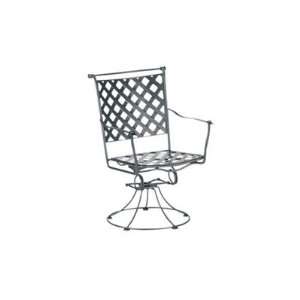   Woodard Maddox Dining Chair Replacement Cushion: Patio, Lawn & Garden