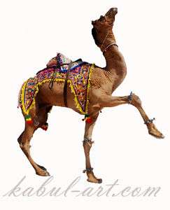 antique orient wedding Camel Blanket sindh  Pakistan  