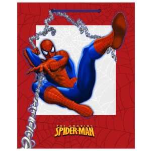  Lets Party By Hallmark The Amazing Spider Man Large Gift 