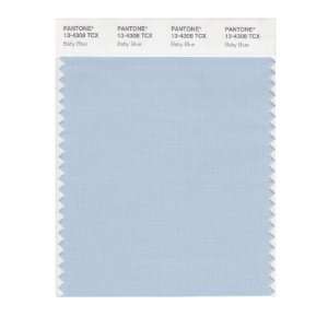  PANTONE SMART 13 4308X Color Swatch Card, Baby Blue: Home 