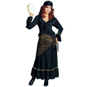  ADULT Mystic Gypsy Costume   Come, I will tell your 