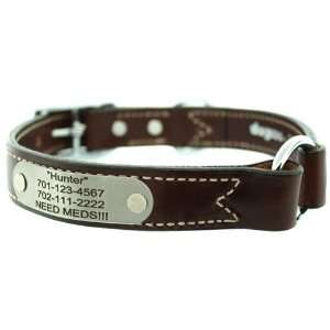   Safety Collar with Rivet On Name Plate   3/4 x 18