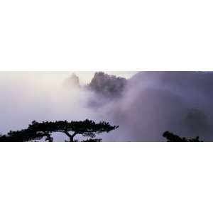   with Fog, Huangshan Mountains, Anhui, China by Panoramic Images , 24x8