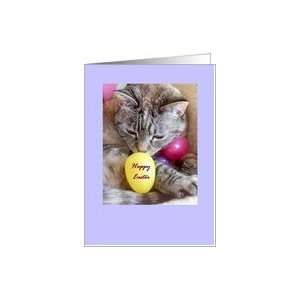  Happy Easter   Cute Siamese Cat w/ Easter Eggs Card 