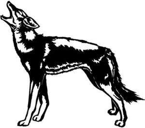 Wolf Vinyl Decal Car Cycle Truck Boat RV Signs Trailers Window Sticker 