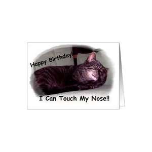  I can touch my Nose   Birthday Cat Card Health & Personal 