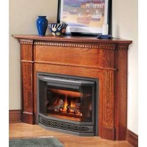 Napoleon Bgd33 Direct Vent Natural Gas Fireplace:  Home 