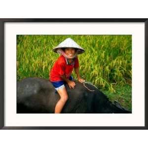  Boy Riding Water Buffalo, Mekong Delta, Vietnam Framed 