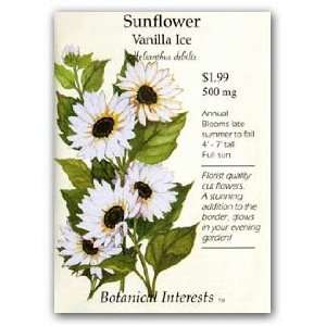 Sunflower Vanilla Ice Seed Patio, Lawn & Garden