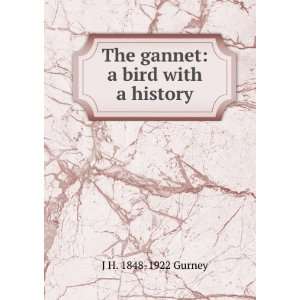    The gannet: a bird with a history: J H. 1848 1922 Gurney: Books