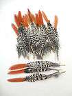 LADY AMHERST ORANGE RED TIP PHEASANT TAIL FEATHERS 6 8L