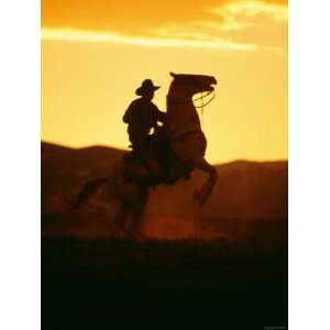 Silhouette of a Cowboy Riding a Bucking Horse and Kicking Up Dust 